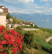 La qualité des vins suisses :