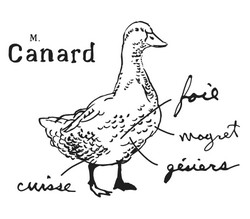 CANARD et FOIE GRAS