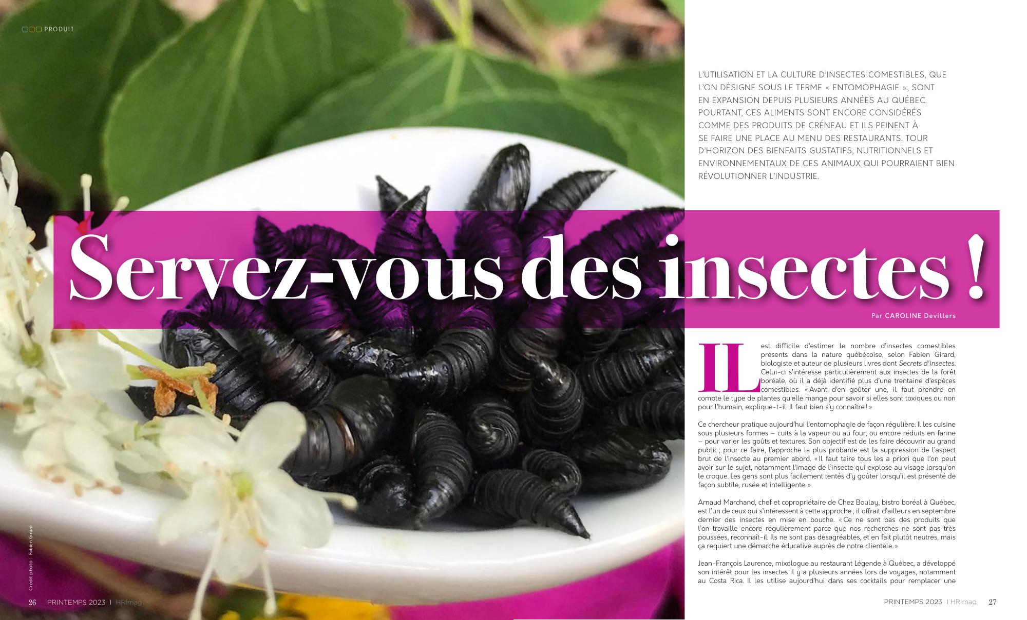 Insectes comestibles: manger des insectes… vraiment?